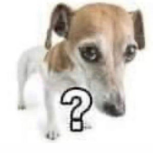 Meet your Posher, Arthur